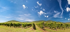 Offering and finding good places to live local specialities of Budapest, property rentals in Budapest