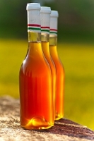 Come and find your your best place to live local specialities of Budapest, property rentals in Budapest