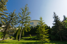 Different types of properties for people with different needs house rent budapest, luxury rentals, luxurious flats
