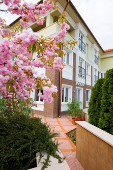 Living in harmony and peace with our surrounding nature luxurious houses, classical flat to rent
