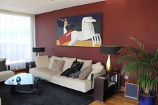 We help to find a good place to live luxury apartments, luxurious condominiums